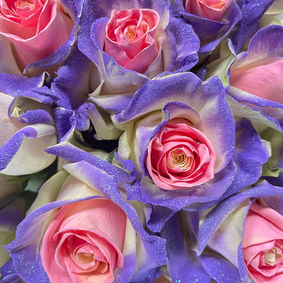 Change Rose thumbnail 7
