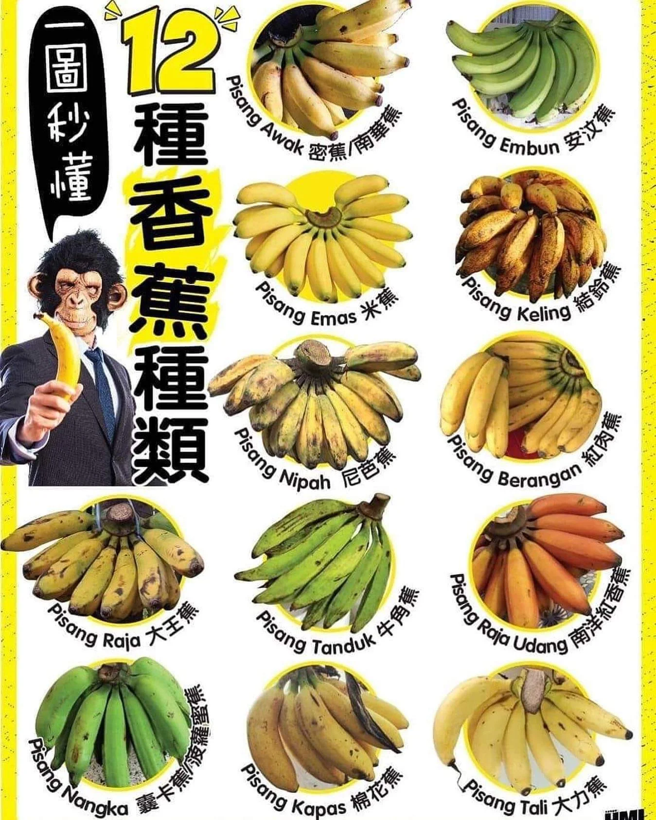 Mayalacian Banana